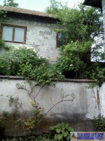 vandut-5