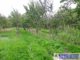 casa-5-camere-teren-2000-mp-valea-mare-pravat-14