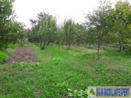 casa-5-camere-teren-2000-mp-valea-mare-pravat-13