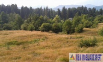 teren-2000-mp-intra-extravilan-nucsoara-1