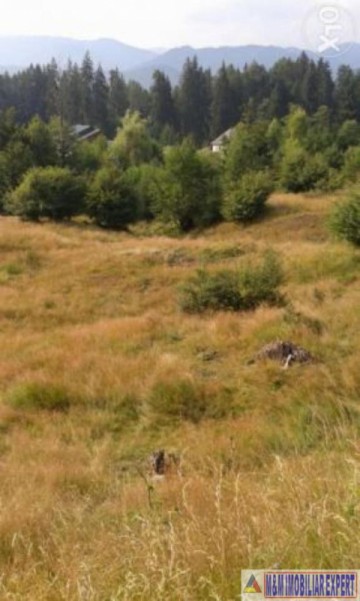 teren-2000-mp-intra-extravilan-nucsoara-5
