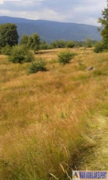 teren-2000-mp-intra-extravilan-nucsoara-7