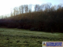 teren-4718-mp-intravilan-bughea-de-sus-magura-bai-3