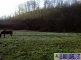 teren-4718-mp-intravilan-bughea-de-sus-magura-bai-4