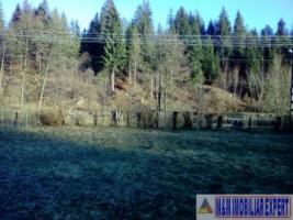 teren-4718-mp-intravilan-bughea-de-sus-magura-bai-7