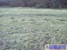 teren-4718-mp-intravilan-bughea-de-sus-magura-bai-8