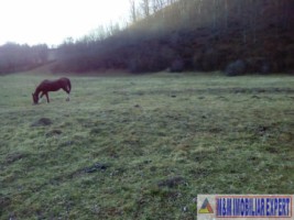teren-4718-mp-intravilan-bughea-de-sus-magura-bai-9