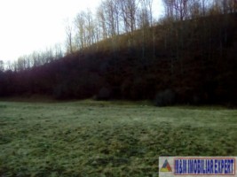 teren-4718-mp-intravilan-bughea-de-sus-magura-bai-10