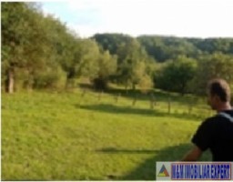 teren-125-ha-intraextravilan-de-vanzare-in-valea-barbusii-campulung-arges-ideal-pentru-proiecte-rezidentiale-si-agricole-1