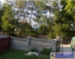 teren-125-ha-intraextravilan-de-vanzare-in-valea-barbusii-campulung-arges-ideal-pentru-proiecte-rezidentiale-si-agricole-2