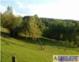teren-125-ha-intraextravilan-de-vanzare-in-valea-barbusii-campulung-arges-ideal-pentru-proiecte-rezidentiale-si-agricole-3