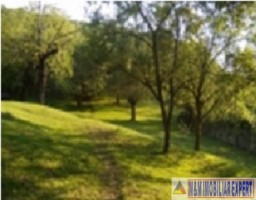 teren-125-ha-intraextravilan-de-vanzare-in-valea-barbusii-campulung-arges-ideal-pentru-proiecte-rezidentiale-si-agricole-4