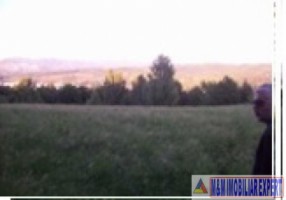 vand-teren-303-ha-intravilan-campulung-muscel-centru-arges-2