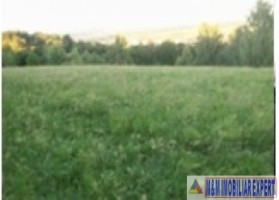 vand-teren-303-ha-intravilan-campulung-muscel-centru-arges-3