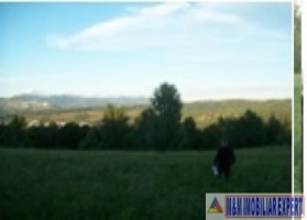 vand-teren-303-ha-intravilan-campulung-muscel-centru-arges-4