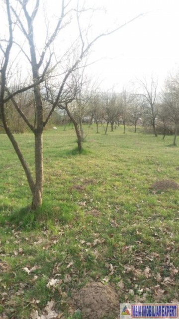 teren-2780-mp-intra-extravilan-aninoasa-arges-3