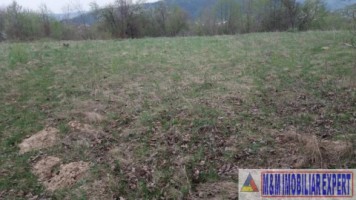 teren-extravilan-de-4200-mp-cu-fantana-proprie-situat-in-valea-mare-pravat-arges