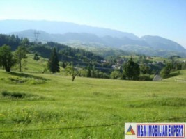 teren-7000-mp-extravilan-de-vanzare-fundata-brasov-potential-pentru-proiecte-diverse