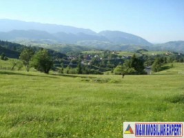 teren-7000-mp-extravilan-de-vanzare-fundata-brasov-potential-pentru-proiecte-diverse-1