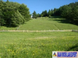 teren-7000-mp-extravilan-de-vanzare-fundata-brasov-potential-pentru-proiecte-diverse-2
