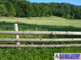 teren-7000-mp-extravilan-de-vanzare-fundata-brasov-potential-pentru-proiecte-diverse-3