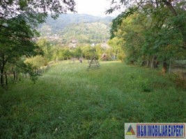 teren-1768-mp-intravilan-stoienesti-badeni-3