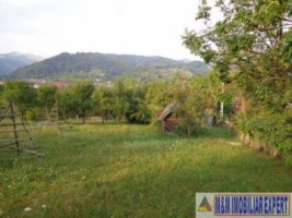 teren-1768-mp-intravilan-stoienesti-badeni-5