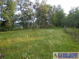 teren-1768-mp-intravilan-stoienesti-badeni