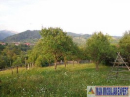 teren-1768-mp-intravilan-stoienesti-badeni-6