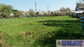 teren-958-mp-intravilan-bughea-de-sus-magura-1