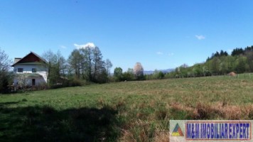 teren-958-mp-intravilan-bughea-de-sus-magura-3