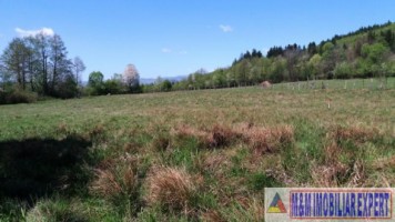 teren-958-mp-intravilan-bughea-de-sus-magura-4