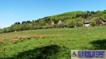teren-958-mp-intravilan-bughea-de-sus-magura-6