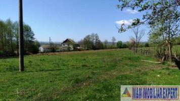 teren-958-mp-intravilan-bughea-de-sus-magura-7
