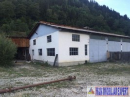 ocupat-aug-2025-hala-200-mp-teren-1000-mp-campulung