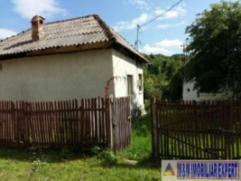 casa-2-camere-teren-3400-mp-mihaiesti-3