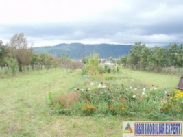 casa-2-camere-cu-teren-4000-mp-valea-mare-pravat-arges-refugiu-in-natura-13