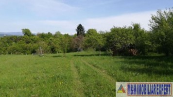 teren-intravilan-de-1-ha-in-stoenesti-piatra-arges-ideal-pentru-dezvoltare-rezidentiala-sau-turistica