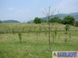 vand-teren-intravilan-de-2130-mp-in-apa-sarata-campulung-muscel-arges-2