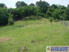 vand-teren-intravilan-de-2130-mp-in-apa-sarata-campulung-muscel-arges