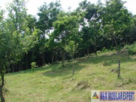 vand-teren-intravilan-de-2130-mp-in-apa-sarata-campulung-muscel-arges-1