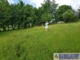 teren-de-vanzare-2153-mp-intravilan-valea-mare-pravat-arges-potential-dezvoltare-5
