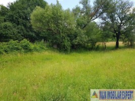 teren-de-vanzare-2153-mp-intravilan-valea-mare-pravat-arges-potential-dezvoltare