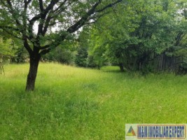 teren-de-vanzare-2153-mp-intravilan-valea-mare-pravat-arges-potential-dezvoltare-1