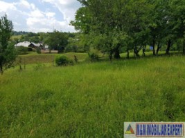 teren-de-vanzare-2153-mp-intravilan-valea-mare-pravat-arges-potential-dezvoltare-2