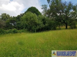 teren-de-vanzare-2153-mp-intravilan-valea-mare-pravat-arges-potential-dezvoltare-3