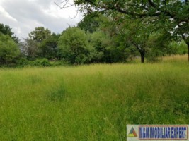 teren-de-vanzare-2153-mp-intravilan-valea-mare-pravat-arges-potential-dezvoltare-4