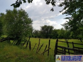 teren-de-vanzare-2153-mp-intravilan-valea-mare-pravat-arges-potential-dezvoltare-6