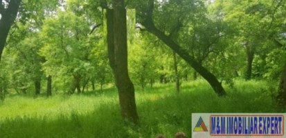 teren-2900-mp-intravilan-de-vanzare-in-boteni-arges-ideal-pentru-constructii-rezidentiale-1