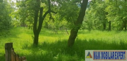 teren-2900-mp-intravilan-de-vanzare-in-boteni-arges-ideal-pentru-constructii-rezidentiale-2